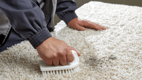 Professional Rug Cleaning Hoppers Crossing
